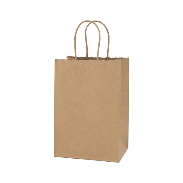 Bolsa Kraft 22x30x10 cm
